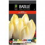 Bruxelles endive