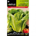 longue laitue verte lumière romaine